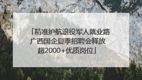 精准护航退役军人就业路 广西国企夏季招聘会释放超2000+优质岗位