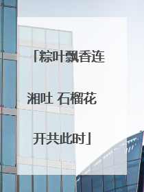粽叶飘香连湘吐 石榴花开共此时