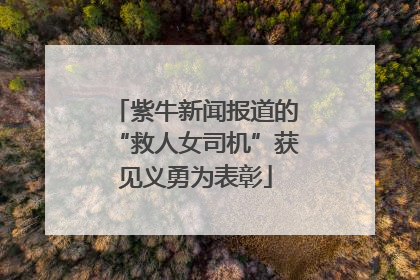 紫牛新闻报道的“救人女司机”获见义勇为表彰