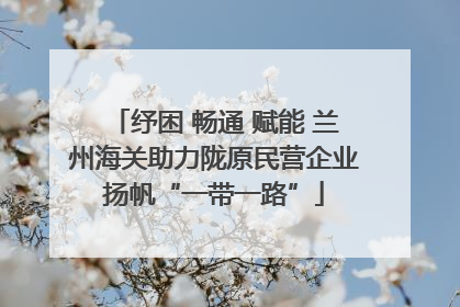 纾困 畅通 赋能 兰州海关助力陇原民营企业扬帆“一带一路”