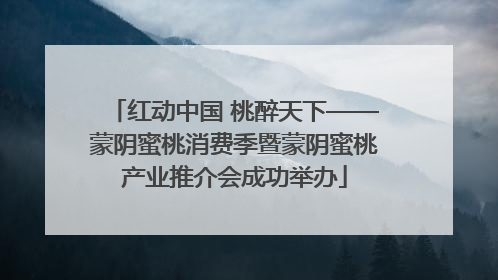 红动中国 桃醉天下——蒙阴蜜桃消费季暨蒙阴蜜桃产业推介会成功举办