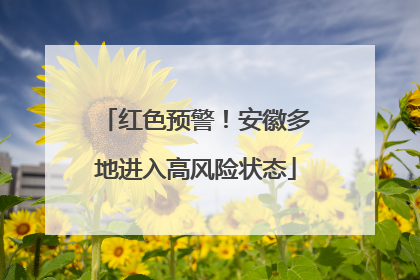 红色预警！安徽多地进入高风险状态