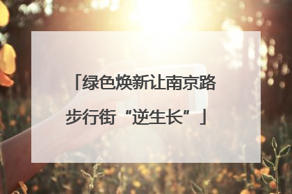 绿色焕新让南京路步行街“逆生长”