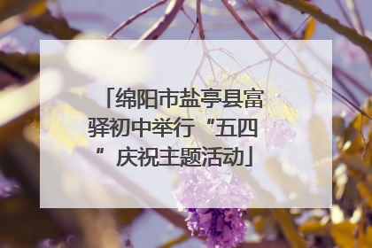 绵阳市盐亭县富驿初中举行“五四”庆祝主题活动