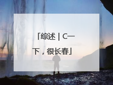 综述｜C一下，很长春
