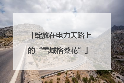 绽放在电力天路上的“雪域格桑花”