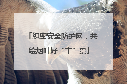 织密安全防护网，共绘烟叶好“丰”景