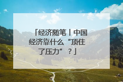 经济随笔丨中国经济靠什么“顶住了压力”？