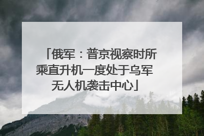 俄军：普京视察时所乘直升机一度处于乌军无人机袭击中心