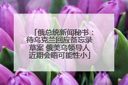 俄总统新闻秘书：待乌克兰回应备忘录草案 俄美乌领导人近期会晤可能性小