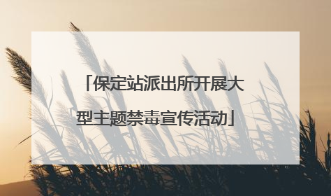 保定站派出所开展大型主题禁毒宣传活动