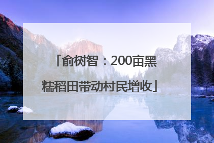 俞树智：200亩黑糯稻田带动村民增收