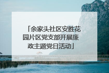 余家头社区安胜花园片区党支部开展廉政主题党日活动
