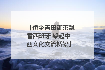 侨乡青田御茶飘香西班牙 架起中西文化交流桥梁