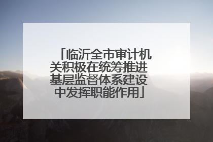 临沂全市审计机关积极在统筹推进基层监督体系建设中发挥职能作用