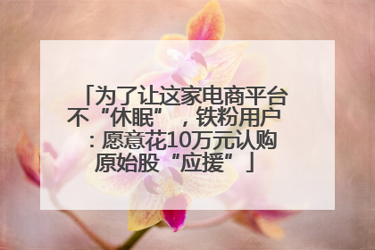 为了让这家电商平台不“休眠”，铁粉用户：愿意花10万元认购原始股“应援”