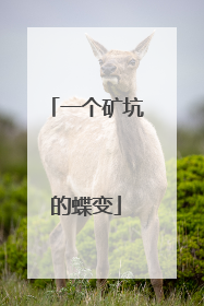 一个矿坑的蝶变