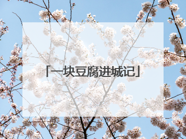 一块豆腐进城记