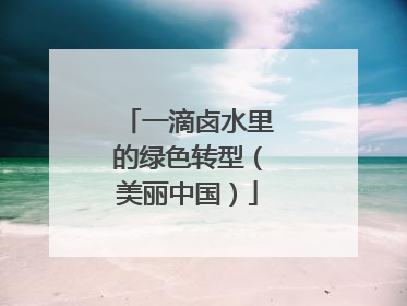 一滴卤水里的绿色转型（美丽中国）