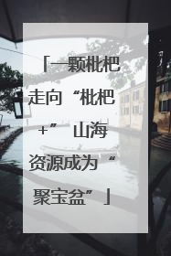 一颗枇杷走向“枇杷+” 山海资源成为“聚宝盆”