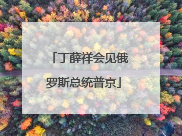 丁薛祥会见俄罗斯总统普京