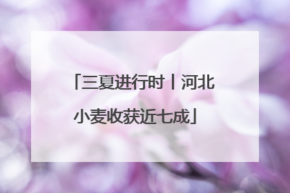 三夏进行时丨河北小麦收获近七成