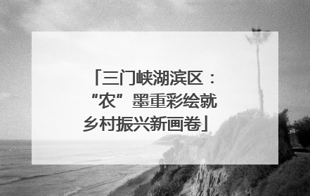 三门峡湖滨区：“农”墨重彩绘就乡村振兴新画卷