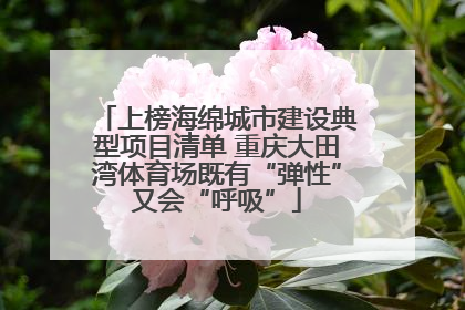 上榜海绵城市建设典型项目清单 重庆大田湾体育场既有“弹性”又会“呼吸”