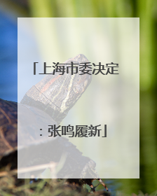上海市委决定：张鸣履新