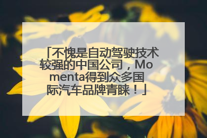 不愧是自动驾驶技术较强的中国公司，Momenta得到众多国际汽车品牌青睐！
