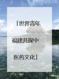 世界青年福建共探中医药文化