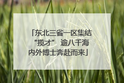 东北三省一区集结“揽才” 逾八千海内外博士奔赴而来