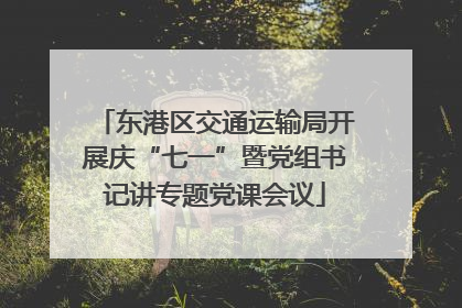 东港区交通运输局开展庆“七一”暨党组书记讲专题党课会议