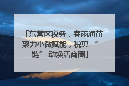 东营区税务：春雨润苗聚力小微赋能，税惠 “链” 动焕活商圈
