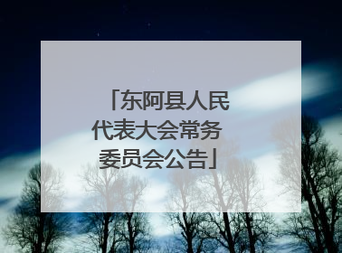 东阿县人民代表大会常务委员会公告