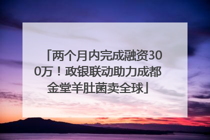 两个月内完成融资300万！政银联动助力成都金堂羊肚菌卖全球