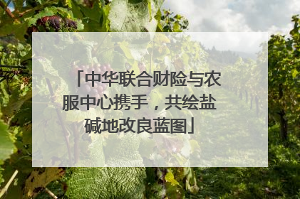 中华联合财险与农服中心携手，共绘盐碱地改良蓝图