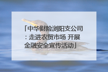 中华财险浏阳支公司：走进农贸市场 开展金融安全宣传活动