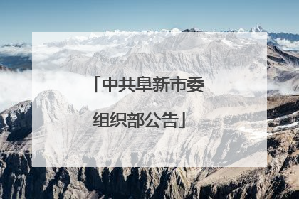 中共阜新市委组织部公告