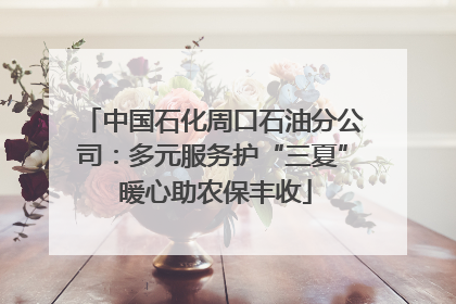 中国石化周口石油分公司：多元服务护“三夏” 暖心助农保丰收