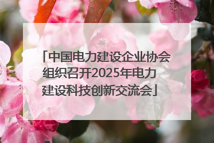 中国电力建设企业协会组织召开2025年电力建设科技创新交流会