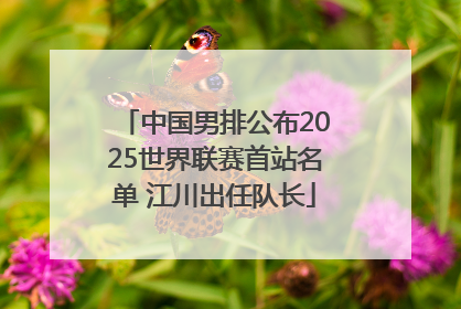 中国男排公布2025世界联赛首站名单 江川出任队长