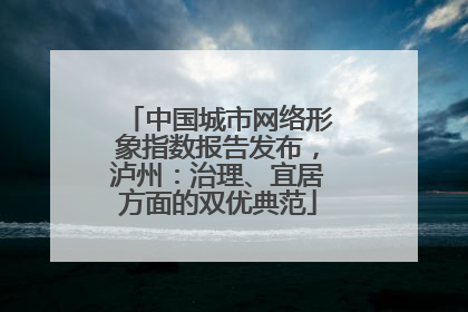 中国城市网络形象指数报告发布，泸州：治理、宜居方面的双优典范
