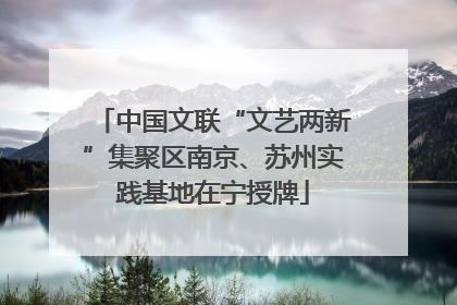 中国文联“文艺两新”集聚区南京、苏州实践基地在宁授牌