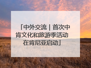 中外交流｜首次中肯文化和旅游季活动在肯尼亚启动