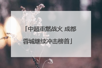 中超重燃战火 成都蓉城继续冲击榜首
