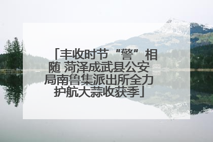 丰收时节“警”相随 菏泽成武县公安局南鲁集派出所全力护航大蒜收获季