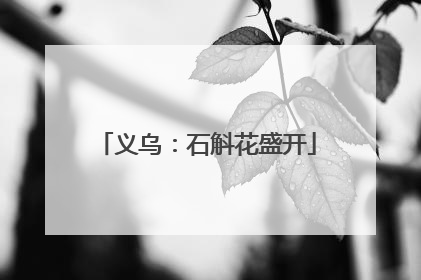 义乌：石斛花盛开