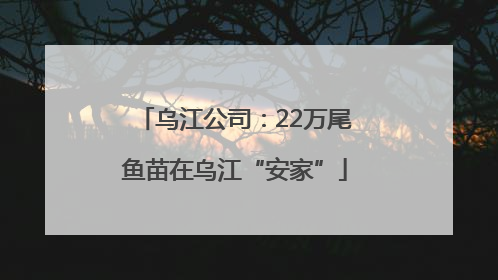 乌江公司：22万尾鱼苗在乌江“安家”