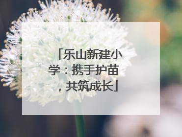 乐山新建小学：携手护苗，共筑成长
